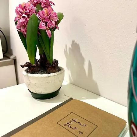 شقة Caterina Biennale البندقية