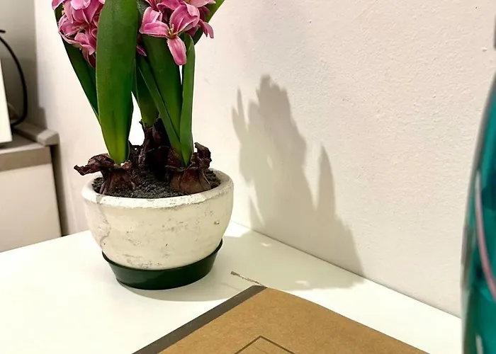 Apartmán Caterina Biennale Benátky